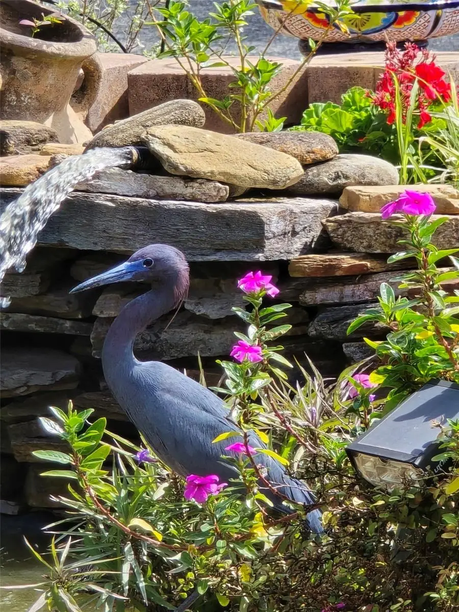 8718 Fort Shea Avenue, Orlando, FL 32822 - #2