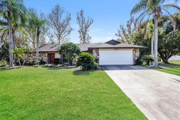 35148 Dolphin Lake Drive, ZEPHYRHILLS, FL 33541