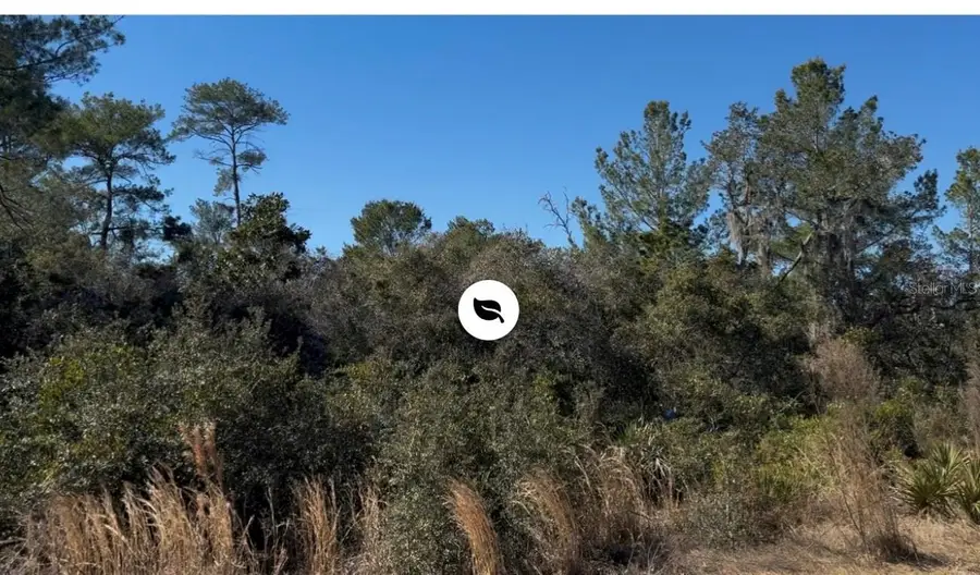 Joyce (paper) Street, Deltona, FL 32725 - #2