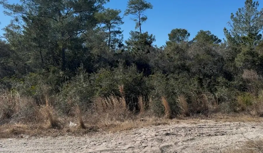 Joyce (paper) Street, Deltona, FL 32725 - #3