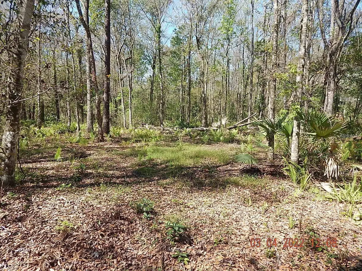 1026 Buist Street, Orlando, FL 32828 - #1