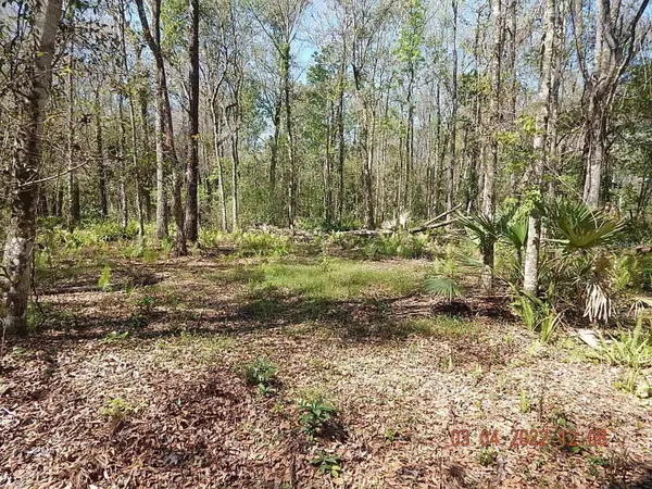 1026 Buist Street, ORLANDO, FL 32828