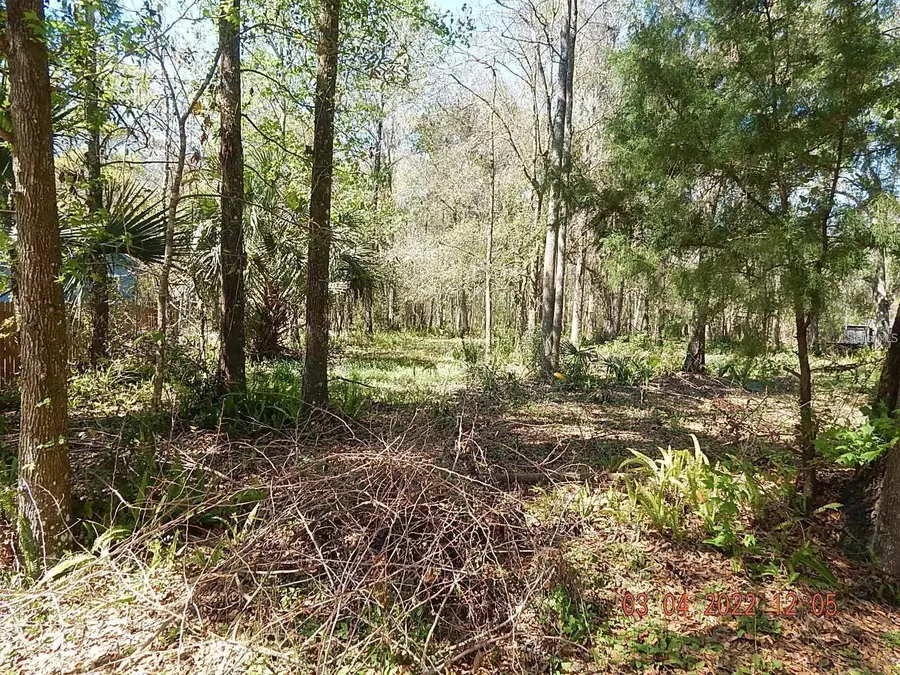 1026 Buist Street, Orlando, FL 32828 - #3