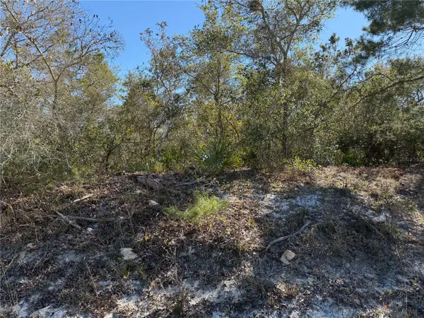 Mcbride Avenue, DELTONA, FL 32725