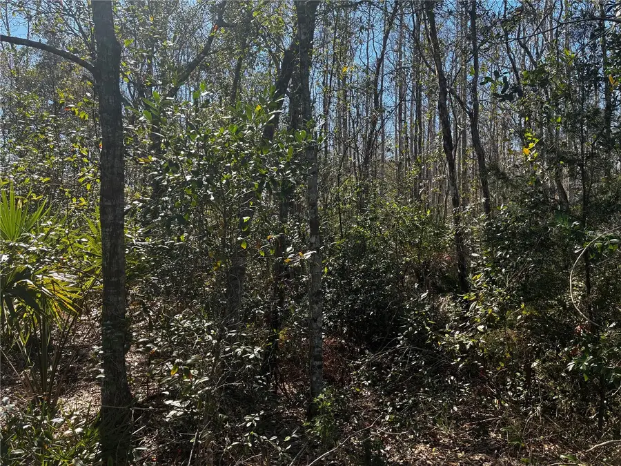 1214 Murdock Boulevard, Orlando, FL 32825 - #3