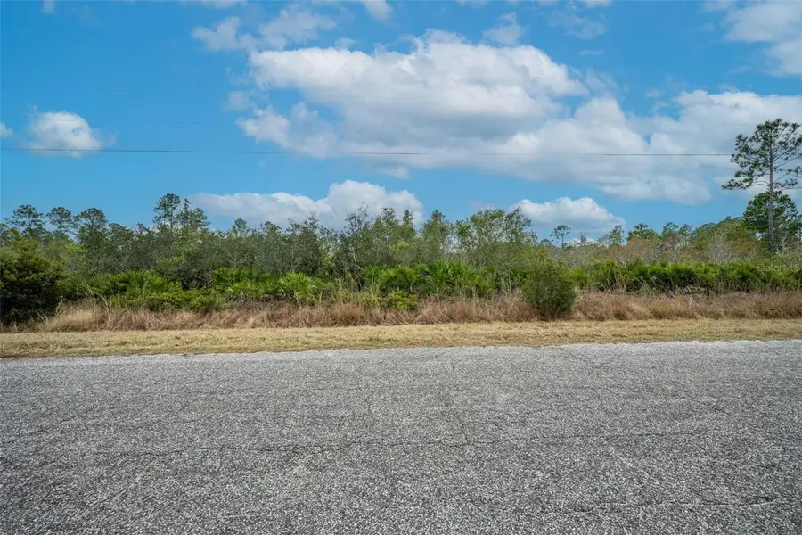 Honeysuckle Street, Eustis, FL 32736 - #2