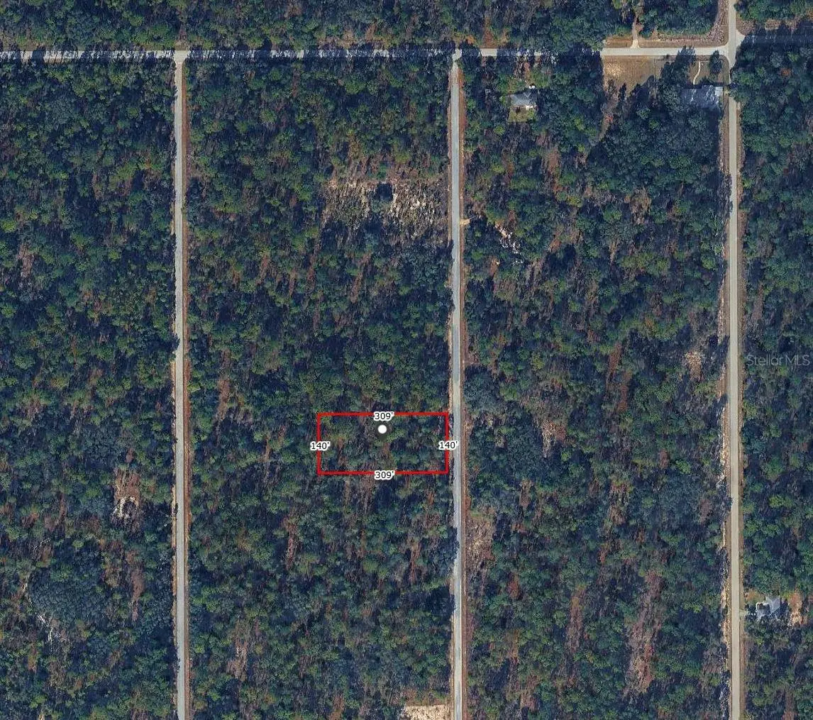 Nw Tree Top Road, Dunnellon, FL 34431 - #1