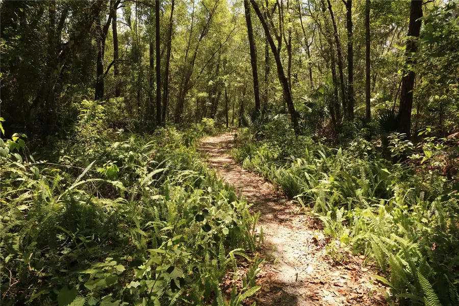 0 E Franklin Street, Oviedo, FL 32765 - #2