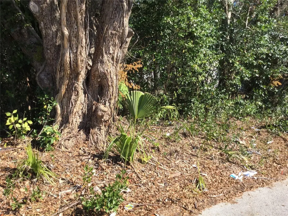 537 W Division Street, Deland, FL 32720 - #1