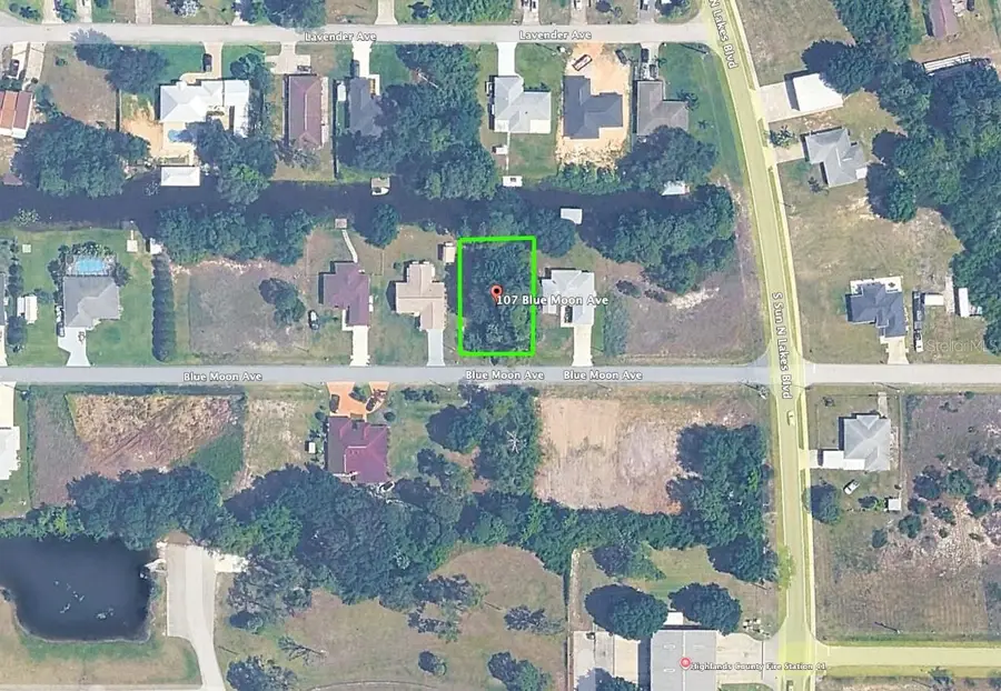 107 Blue Moon Avenue, Lake Placid, FL 33852 - #3