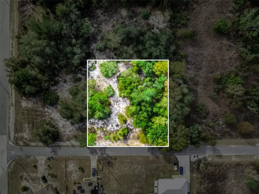 113 Walker Avenue Ne, Lake Placid, FL 33852 - #2