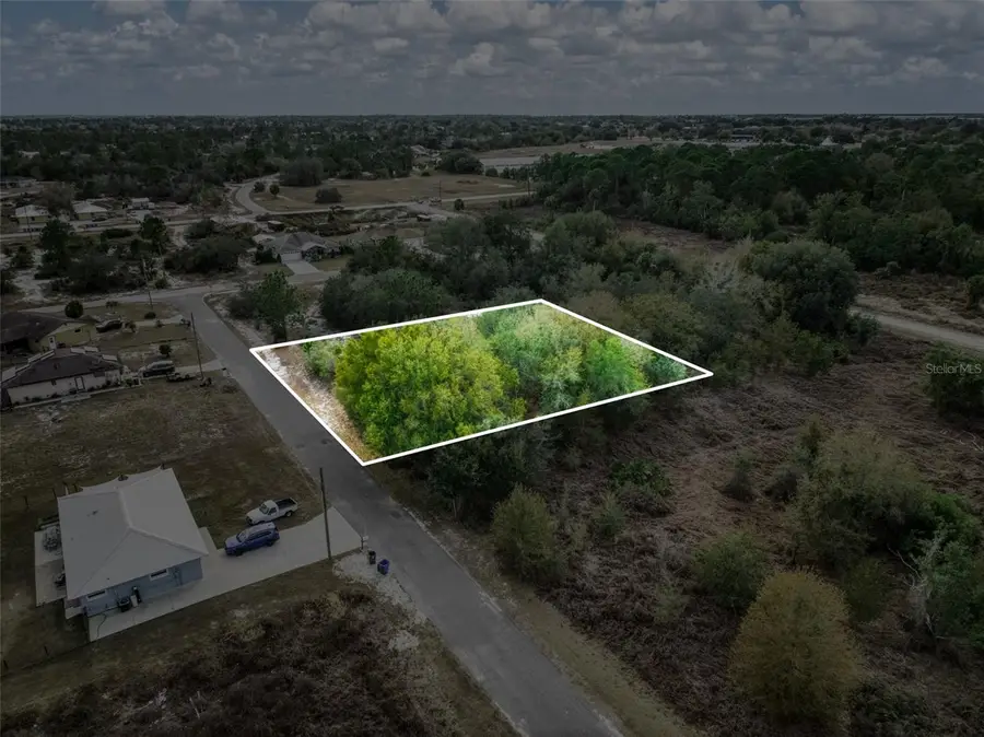 113 Walker Avenue Ne, Lake Placid, FL 33852 - #3