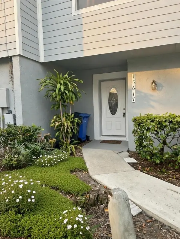 15617 Morning Drive, LUTZ, FL 33559