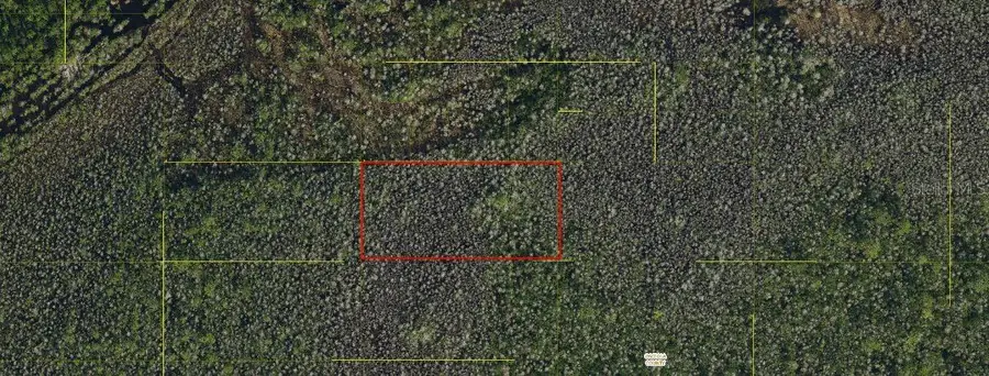 Holopaw Groves Road, Saint Cloud, FL 34771 - #3