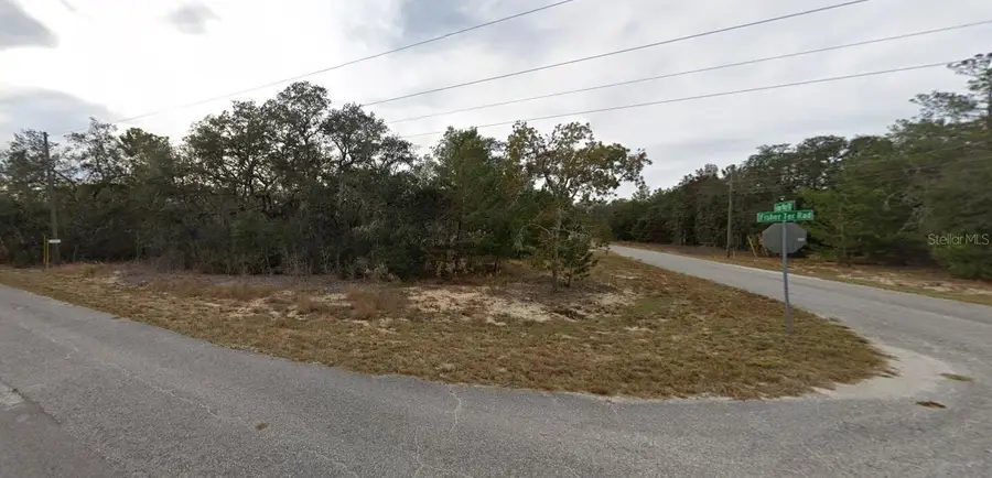 Fisher Way Drive, Ocklawaha, FL 32179 - #3