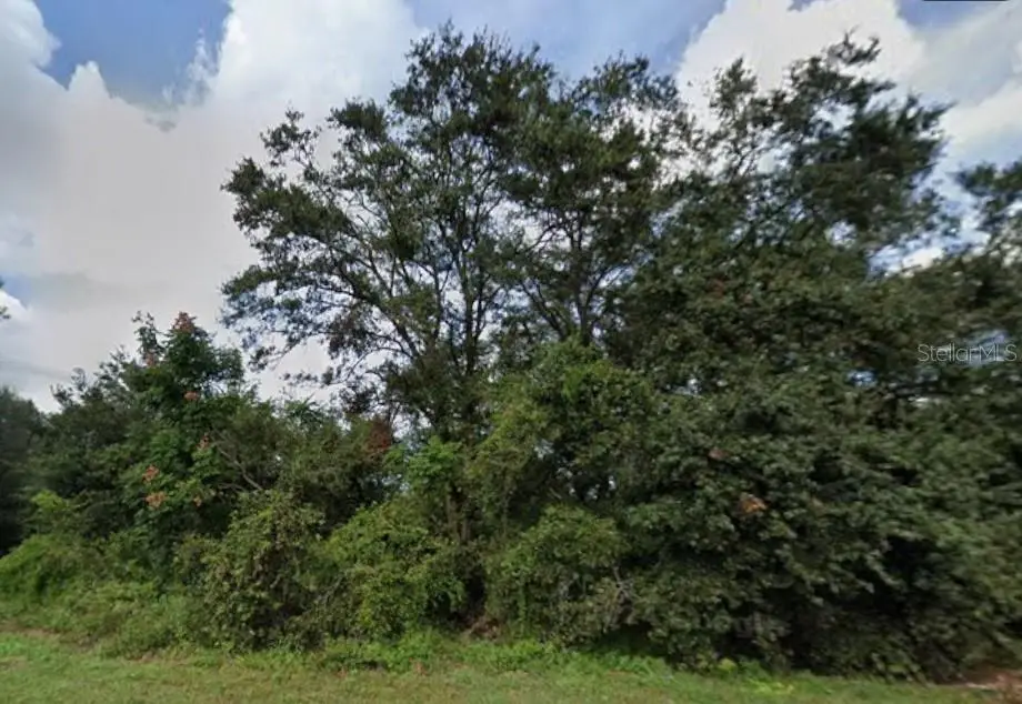 627 Citrus Grove Boulevard N, Polk City, FL 33868 - #1