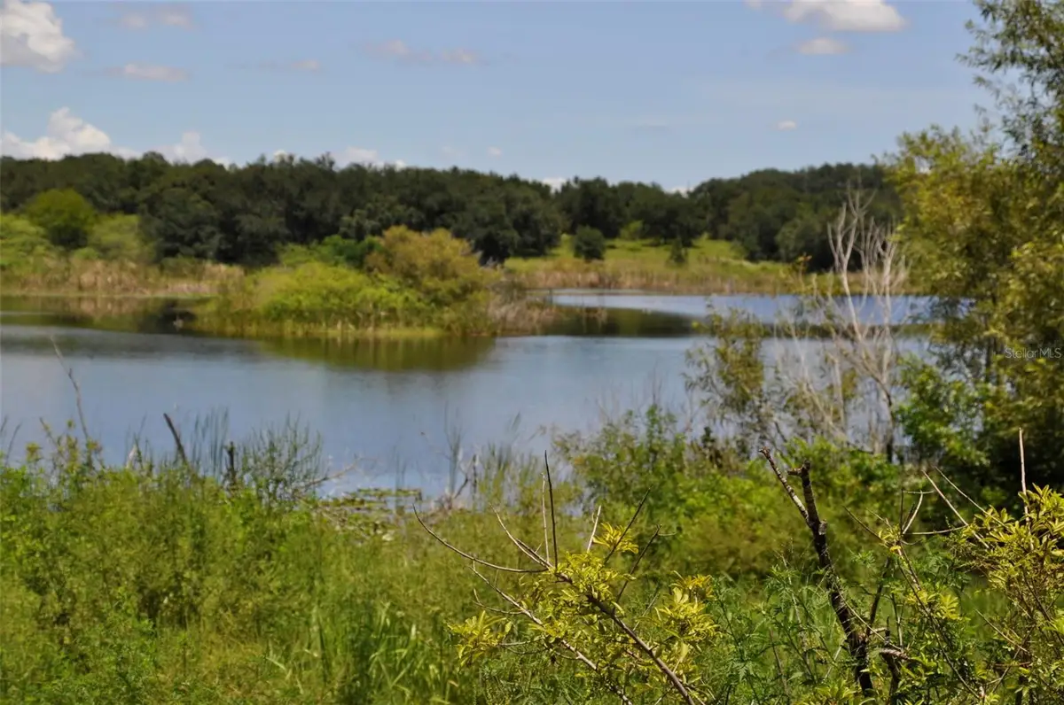 Lake Marie Drive, Haines City, FL 33844 - #1