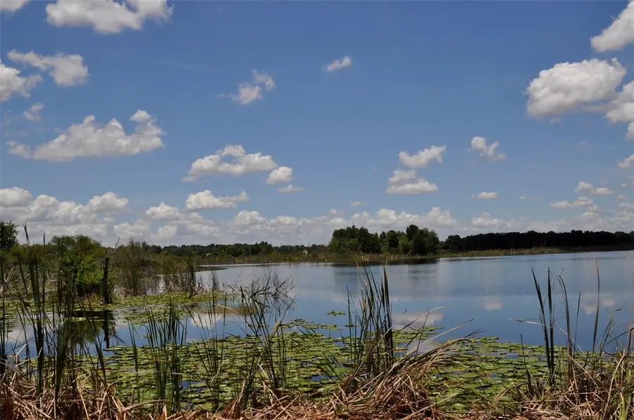 Lake Marie Drive, Haines City, FL 33844 - #2