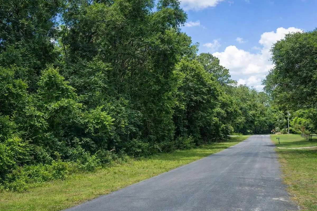 11635 N Kenlake Circle, Citrus Springs, FL 34434 - #1