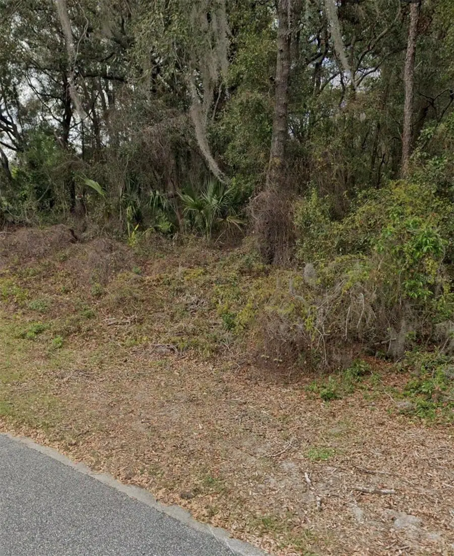 101 Piney Woods Road, Apopka, FL 32703 - #3