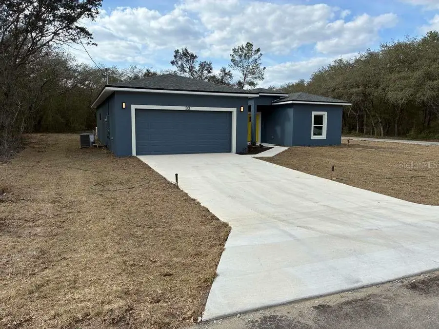 30 Fisher Trace Run, Ocklawaha, FL 32179 - #2