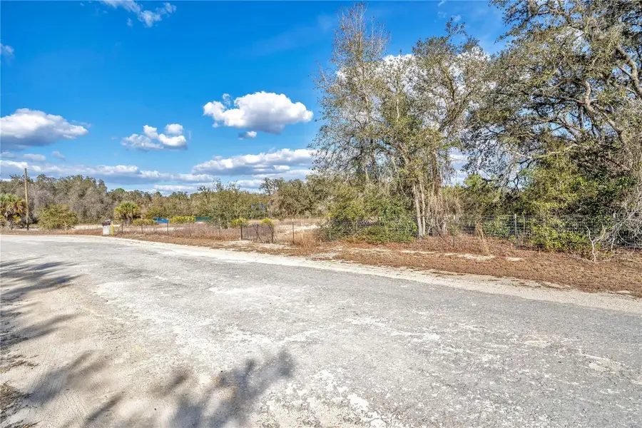 Goodstone Drive, Webster, FL 33597 - #3