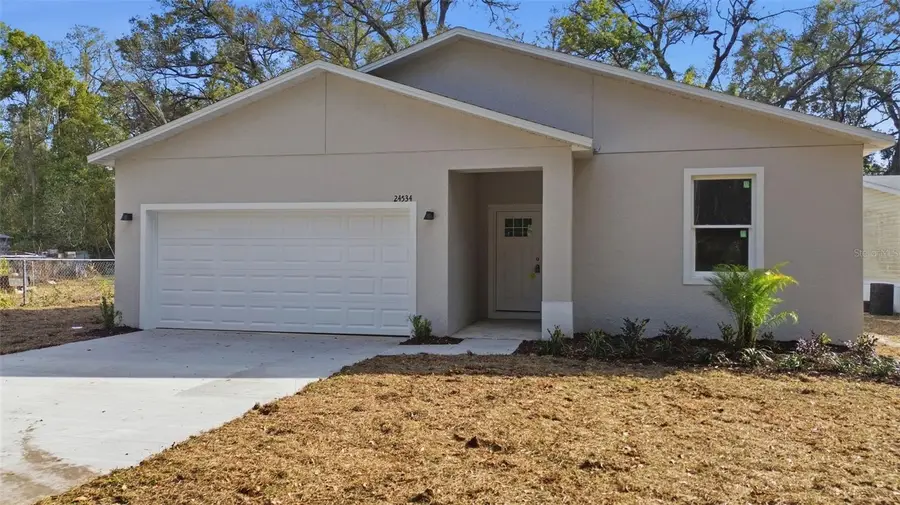 24534 Paul Street, Sorrento, FL 32776 - #2