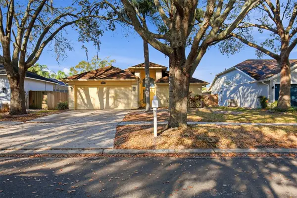 16502 Lake Heather Drive, TAMPA, FL 33618