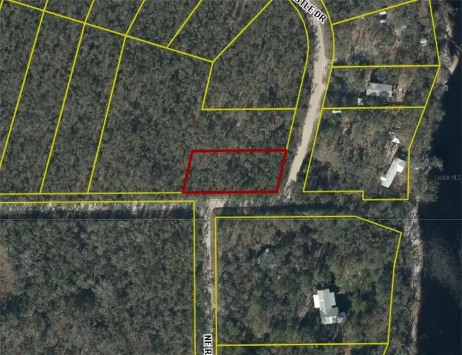 Ne Trestle Dr, Mayo, FL 32066 - #3