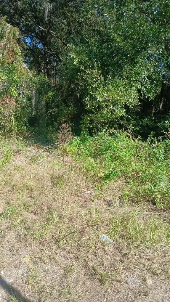 Avenue O, Ormond Beach, FL 32174 - #3