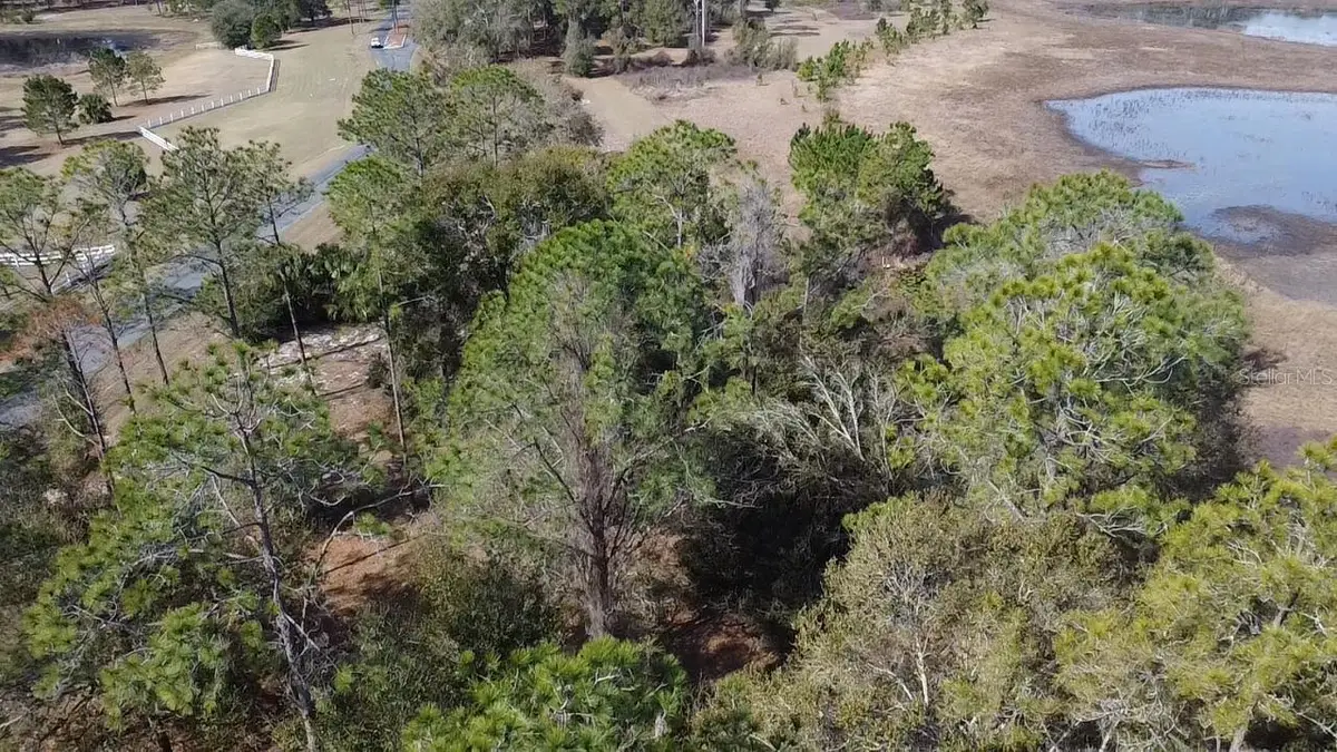 Bonsmara Drive, Leesburg, FL 34748 - #1