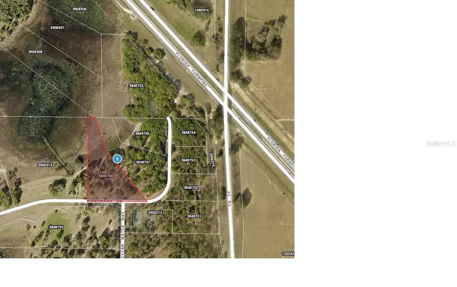 Bonsmara Drive, Leesburg, FL 34748 - #2