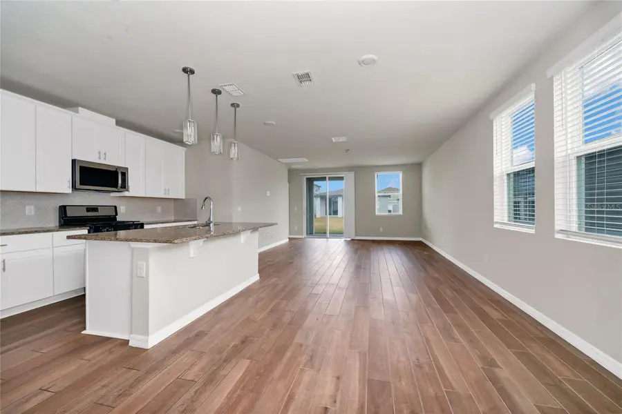 3817 Shoveler Avenue, Leesburg, FL 34748 - #2