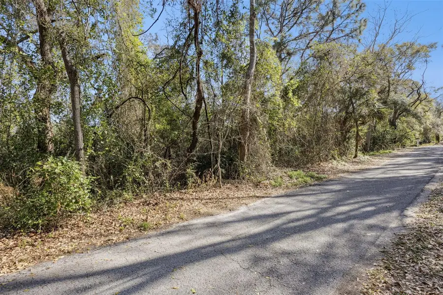 000 Magnolia Creek Lane, Montverde, FL 34756 - #3