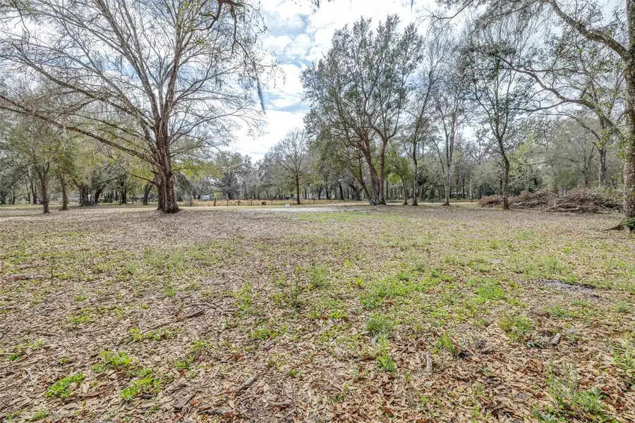 SE 124th Avenue, Webster, FL 33597 - #2