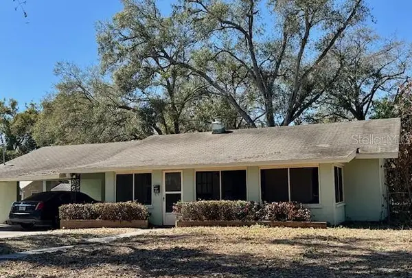 313 S Rossiter Street, MOUNT DORA, FL 32757