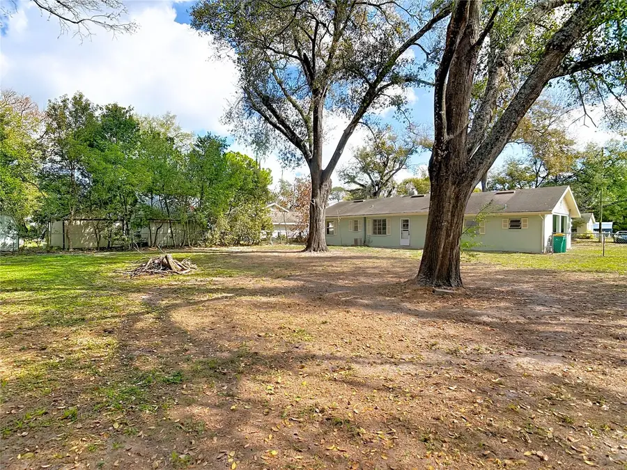 313 S Rossiter Street, Mount Dora, FL 32757 - #3