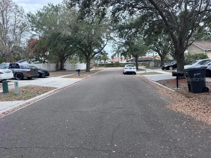 1451 Mohrlake Drive, Brandon, FL 33511 - #2