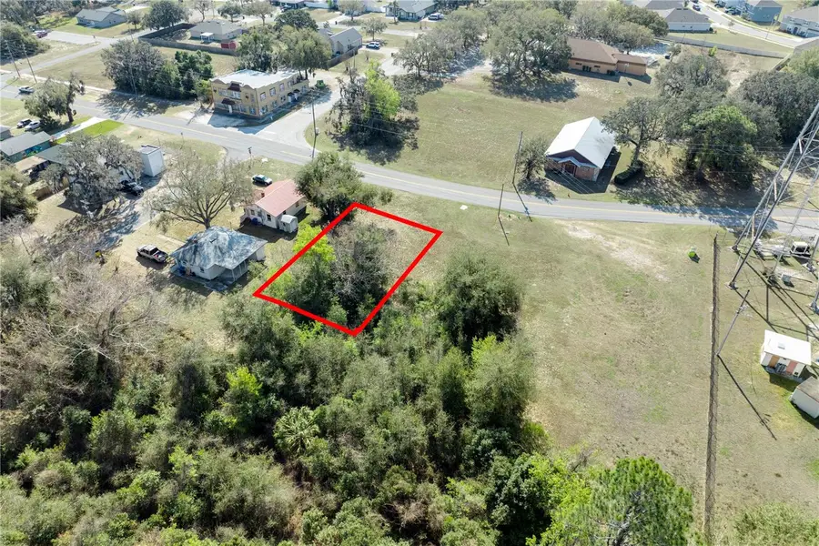 W Central Avenue, Howey In The Hills, FL 34737 - #2