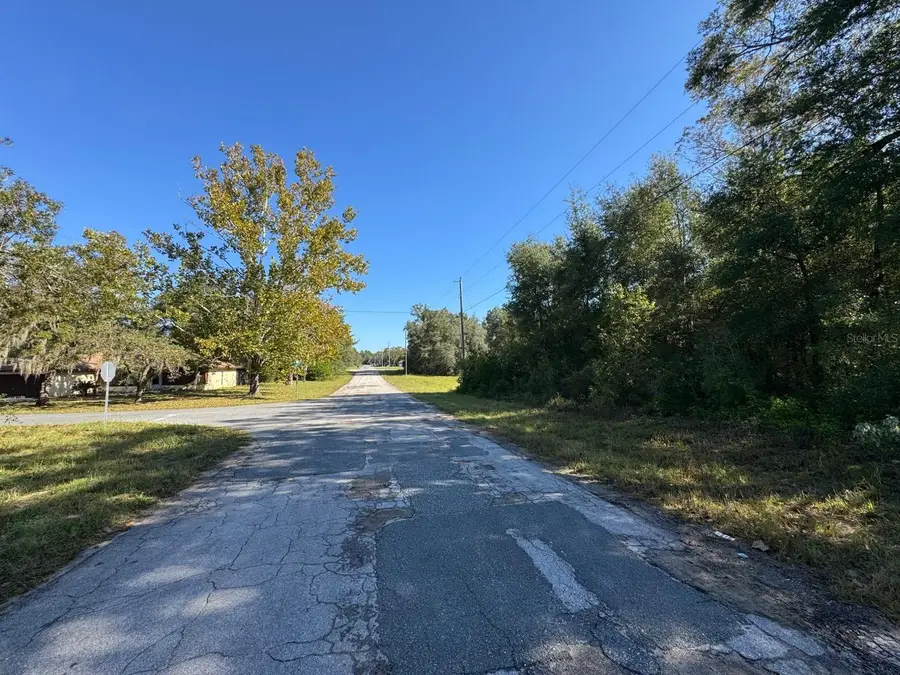 10241 N Halsey Way, Dunnellon, FL 34434 - #2