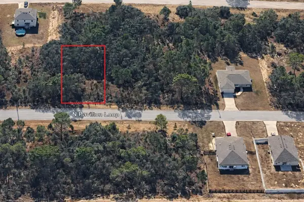 6779 N Pavilion Loop, CITRUS SPRINGS, FL 34433