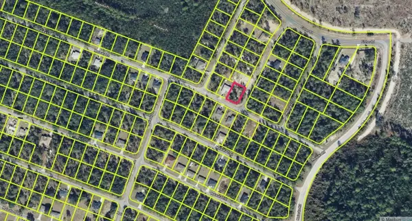 0 Malauka Lane, OCKLAWAHA, FL 32179