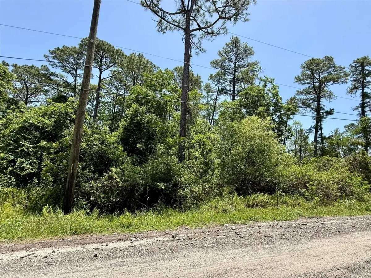 1395 10th Avenue, Deland, FL 32724 - #1