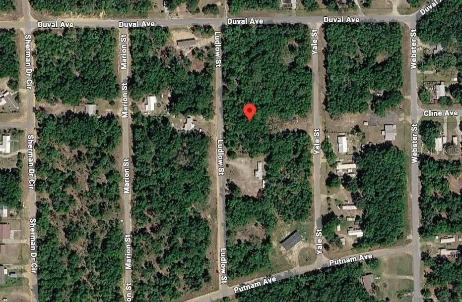 Ludlow Street, Interlachen, FL 32148 - #1