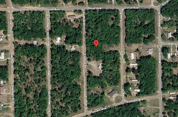 Ludlow Street, INTERLACHEN, FL 32148