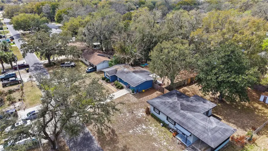 303 Louis Street, Leesburg, FL 34748 - #3