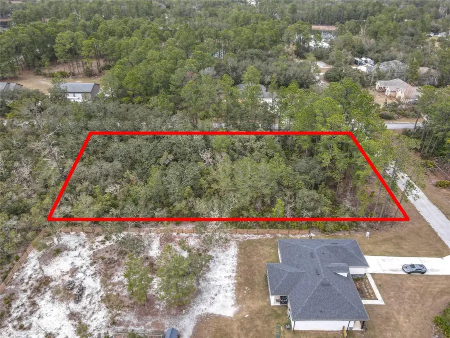 Balsam Street, Eustis, FL 32736 - #2