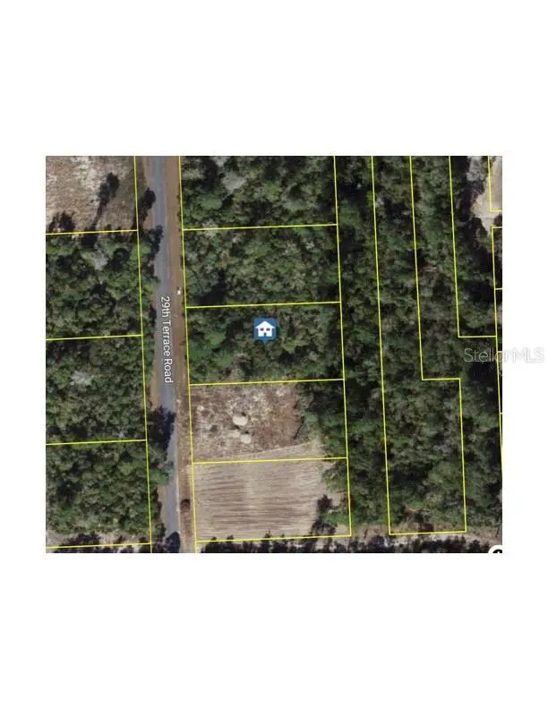 15243 SW 29th Terrace Road, Ocala, FL 34473 - #1
