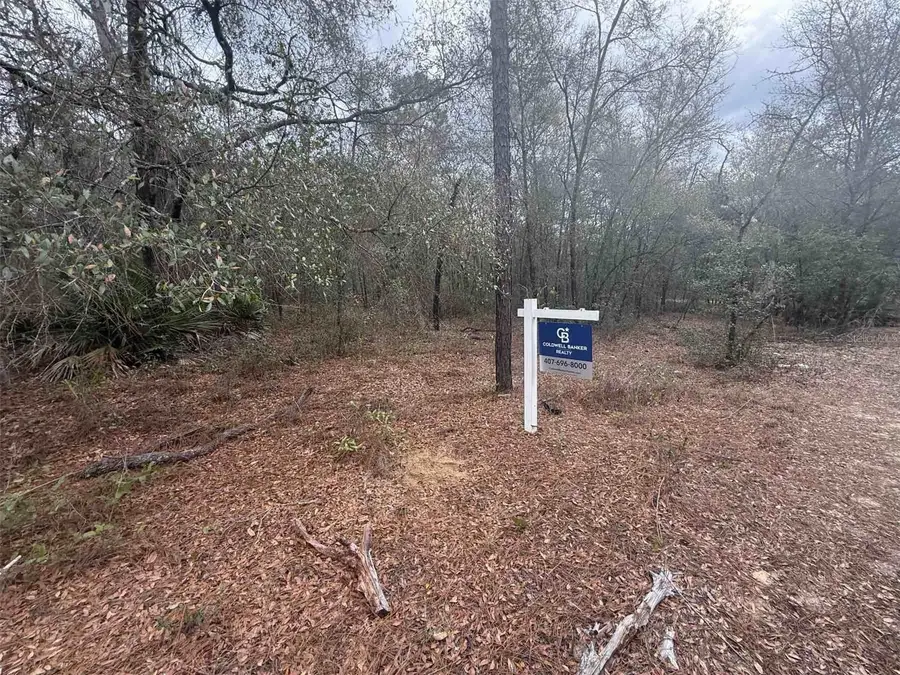 0 Se 3rd Street Street, Interlachen, FL 32148 - #2