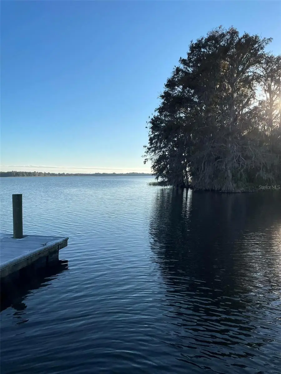 17708 Sawgrass Run, Tavares, FL 32778 - #1